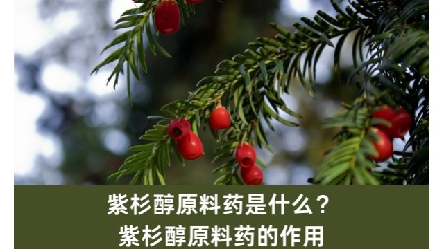 紫杉醇原料药是什么?紫杉醇原料药的作用 紫杉醇原料药是什么?紫杉醇原料药的作用