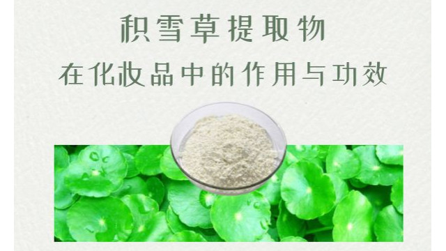 积雪草提取物在化妆品中的作用与功效 积雪草提取物在化妆品中的作用与功效