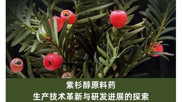 紫杉醇原料药:生产技术革新与研发进展的探索 紫杉醇原料药:生产技术革新与研发进展的探索