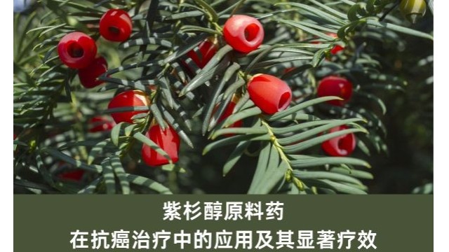 紫杉醇原料药在抗癌治疗中的应用及其显着疗效