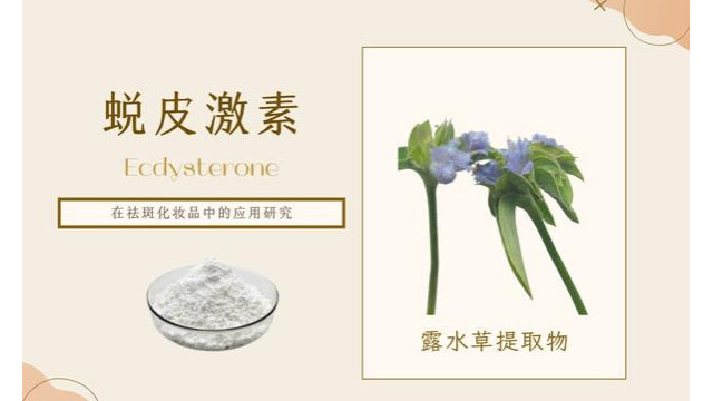 蜕皮激素在祛斑化妆品中的应用研究 蜕皮激素在祛斑化妆品中的应用研究