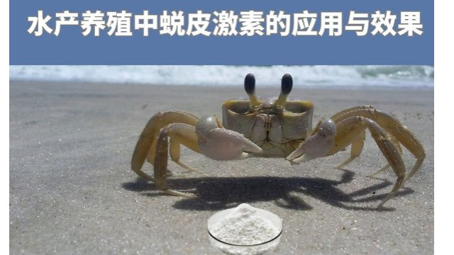 水产养殖中蜕皮激素的应用与效果 水产养殖中蜕皮激素的应用与效果