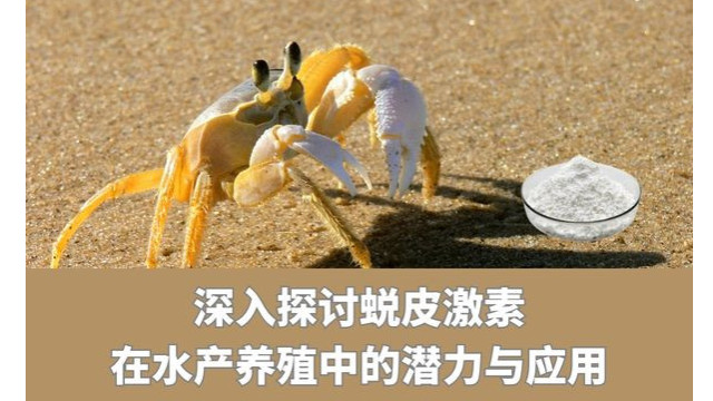 深入探讨蜕皮激素在水产养殖中的潜力与应用 深入探讨蜕皮激素在水产养殖中的潜力与应用
