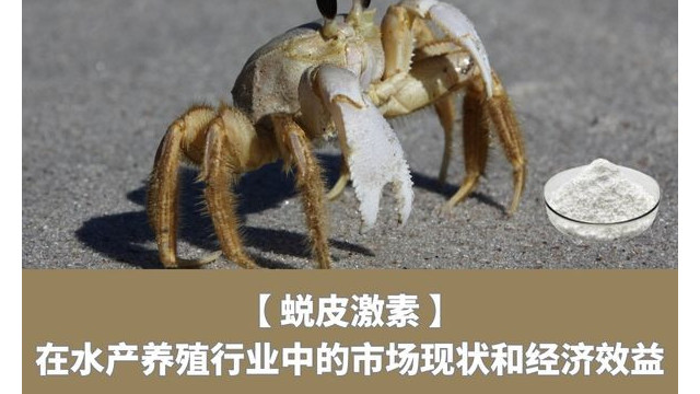蜕皮激素在水产养殖行业中的市场现状和经济效益 蜕皮激素在水产养殖行业中的市场现状和经济效益