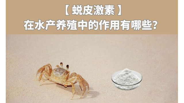 蜕皮激素在水产养殖中的作用有哪些 蜕皮激素在水产养殖中的作用有哪些