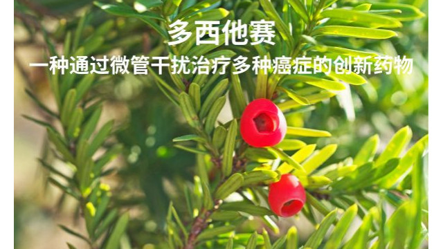 多西他赛,一种通过微管干扰治疗多种癌症的创新药物 多西他赛,一种通过微管干扰治疗多种癌症的创新药物