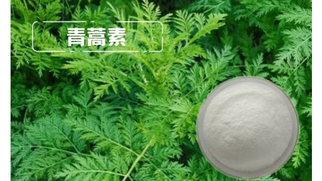 什么是青蒿素?青蒿素的作用 什么是青蒿素?青蒿素的作用