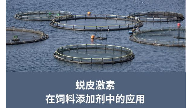 蜕皮激素在饲料添加剂中的应用 蜕皮激素在饲料添加剂中的应用