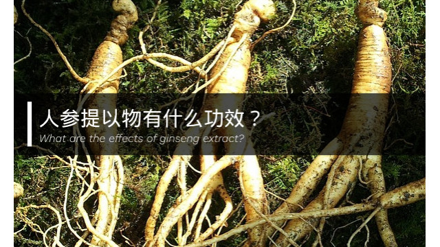 人参提取物有什么功效? 人参提取物有什么功效?