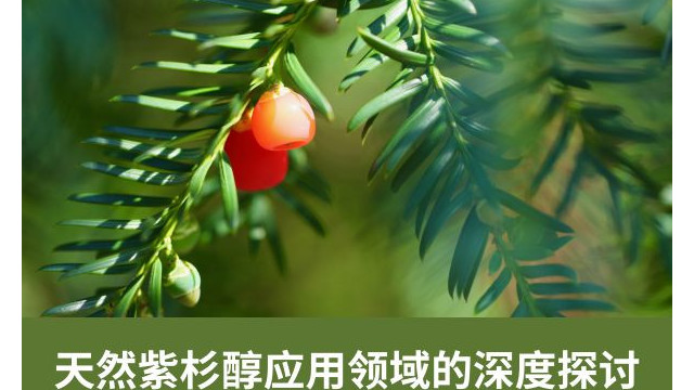 天然紫杉醇应用领域的深度探讨 天然紫杉醇应用领域的深度探讨