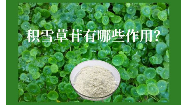 积雪草苷的作用 积雪草苷的作用