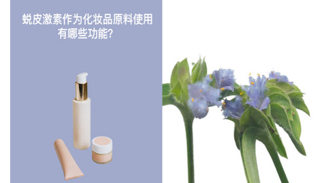 蜕皮激素作为化妆品原料使用有哪些功能？
